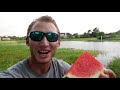 Turtles Love Watermelon!