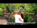 Above the Falls at Havasu by Ed LoVuolo