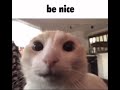 be nice :)