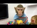 Baby monkey Bim Bim gets unexpected powers after eating dinosaur egg