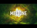 Meltone - Stand Up Festival Set 2020