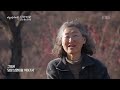 혹독한 겨울을 이겨내고, 생명을 틔우는 강인한 매화처럼. 그렇게 삽시다 | KBS 다큐 인사이트 -  인생정원: 붉은 매화가 피면 220623 방송