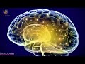 Activate Brain to 100% Potential : Genius Brain Frequency - Gamma Binaural Beats