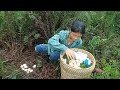 Daily life,father and son went to pick vegetables,encounter strange eggs,