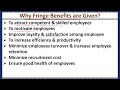 What are Fringe Benefits? Types, Objectives and Importance of Fringe Benefits