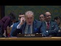 (Full) Israel/Palestine: Resolution Passes in Security Council | Calling for Immediate Ceasefire