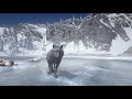 Playing as Legendary Black WOLF in Red Dead Redemption 2 PC