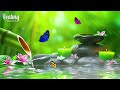 Relaxing Sleep Music with Water Sounds • Peaceful Ambience for Spa, Yoga and Relaxation, Zen Music