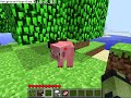 MINECRAFT TUTORIAL WORLD!