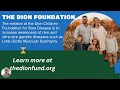 Limb-Girdle Muscular Dystrophy and the Dion Foundation