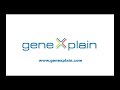 Search for TFBS in any eukaryotic genome using the geneXplain platform