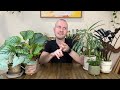 6 Low Light Plants | Houseplant Tips & Tricks Ep. 30