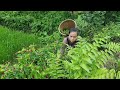 Single mother: harvesting vegetables and taking care of her daughter who suddenly fell ill