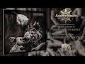 Alustrium - A Monument to Silence (Official Album Stream)