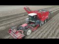 New Dewulf Enduro Harvesting potatoes 2023 | Scania DC13 Engine | Soil Saver Tires | Fill-Tastic 😎