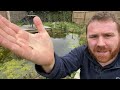 How To Manage BLANKET WEED In Your POND