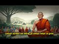 10 Lessons MEN Learn TOO LATE In LIFE | Buddhist Lessons | Buddhism |
