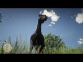 Horses - Red Dead Redemption 2 - Hungarian Halfbred horse herd