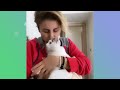 Stubborn Cat Only Likes Listening To One Song | Cuddle Buddies
