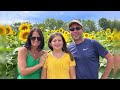 Sunflower Festival - Sunfox Farm - Concord, NH
