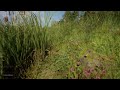 Unreal Engine 5.3 - MAWI - Most Realistic Realtime Forest Ever! #unrealengine #UE5 #gamedev