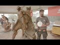 Robby Bast Wins the 2017 Australian Chainsaw Carving Championship