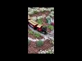 Garden trains in 4 seasons
