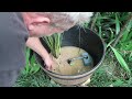 How To Make a Whiskey Barrel Pond with a Running Tap Water Feature for your Native Fish DIY.