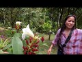 Cambodia Sept. 2022  Eps. 32 | Mountain Resort in Pailin