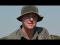 Bayly Sippel Hunting Safaris 2023 Limpopo province hunting.