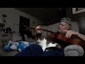 Cat falls asleep to Bass Guitar, ASMR