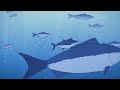 GO FISHBOY - Animation Short Film 2022 - GOBELINS