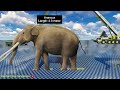3D Elephant 🐘 Size Comparison || Animal Size Comparison 2024