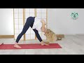 Cours de yoga spécial sportifs - APRÈS LE SPORT!