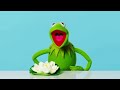 10 Things Kermit The Frog Can’t Live Without | 10 Essentials