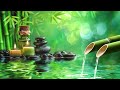 Zen Relaxing Music - Bamboo, Meditation Music, Calm Music, Nature Sounds