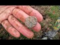 OMG! A Witches Mark in my Medieval Home! Metal detecting in Glorious MUD! #minelab #uk #mud (Ep.52)