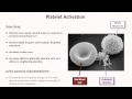 Hemostasis: Lesson 2 - Platelet Activation and Aggregation