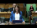 Finance Minister Nicola Willis delivers first Budget speech | Newshub
