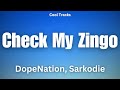 DopeNation x Sarkodie - Check My Zingo (Audio)