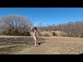 Pirouette and Glide Throws