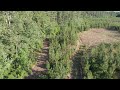 Tree Farm Drone Footage - Part 4