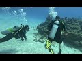 Cayman Brac - Buccaneer Reef - Pt  5 - GREEN MORAY EEL!!