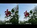 Nikon z9 VS  Sony A1..comparison #nikon #sony #cannon #photography #model #wedding #video #song