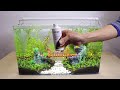 DIY Simple Aquasacpe Betta Fish For Office - How To Make Aquarium Decoration Ideas - MR DECOR #178