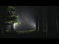 The sound of powerful rain falling on the emperor tree, heavy rain, thunder, insomnia. sleep asmr