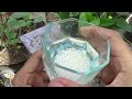 Mr. Free fertilizer is available in your house, learn to use it | Organic way