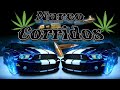 ✴️Narco Corridos ✴️Los Mejores Corridos ✴️