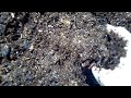 Composted Horse Manure