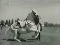 Alois Podhajsky and the lipizzaners of the Spanish Riding School